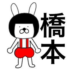 Bear rabbits Hashimoto