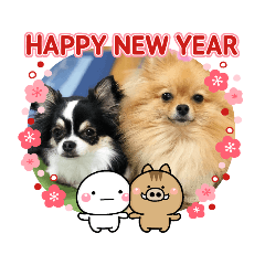 Mini Poco's New Year's Stamp 2019