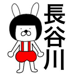 Bear rabbits Hasegawa