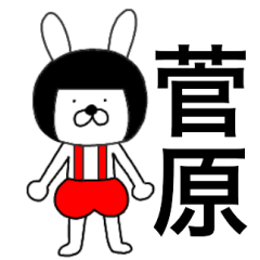 Bear rabbits Sugawara