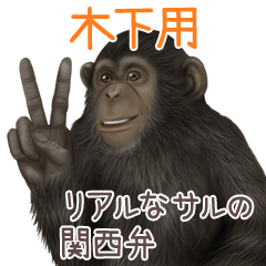 Kinoshita Monkey's real myouji