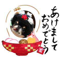 Miyuki_201811240006012