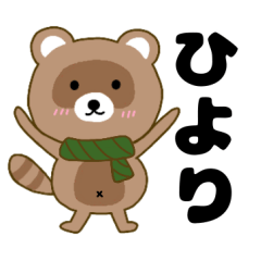 Raccoon2 Hiyori