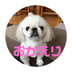 haruki_20181128162010