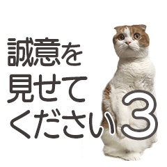 Cat Sticker No:3