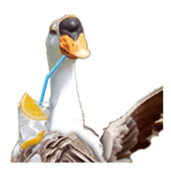 charming goose (English)