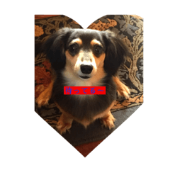 kaito_20181128153428