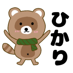Raccoon2 Hikari