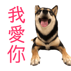 污泥貼圖0