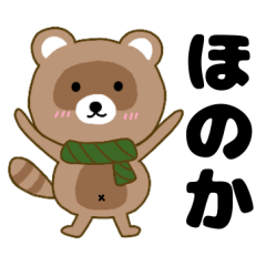 Raccoon2 Honoka