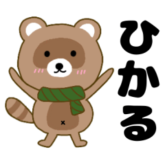 Raccoon2 Hikaru