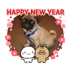 Puggy Happy New Year
