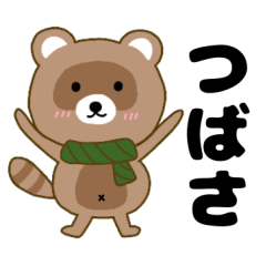 Raccoon2 Tubasa