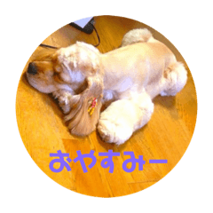 marron_stamps