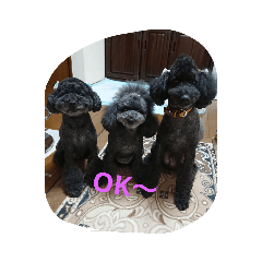 ponta_20181129175332