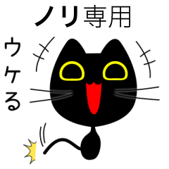 【ノリ】専用の黒猫です