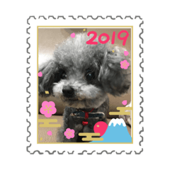2019犬の祝福