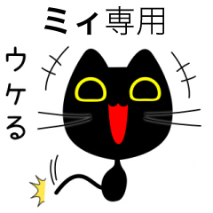 【ミィ】専用の黒猫です