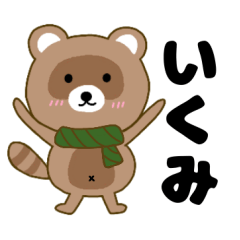 Raccoon2 Ikumi