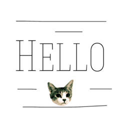 cat and dog NO.2