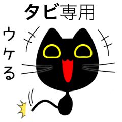 【タビ】専用の黒猫です