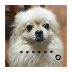 hana_20181128