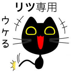 【リツ】専用の黒猫です