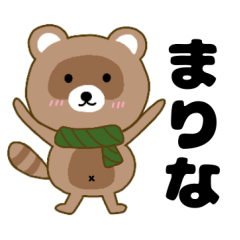 Raccoon2 marina