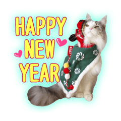 HAPPY NEW YEAR CAT2019