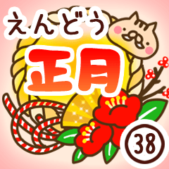 【遠藤/えんどう】専用38＜お正月2019亥年