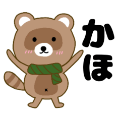 Raccoon2 Kaho