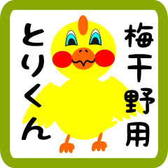Lovely chick sticker for Hoyano