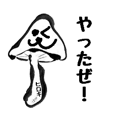 Mugen Shiitake Mushroom for Hiroki-san