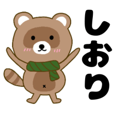 Raccoon2 Shiori