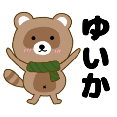 Raccoon2 Yuika