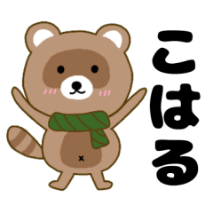 Raccoon2 Koharu