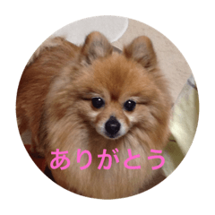 milky_20181124015535