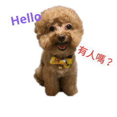 多多寶寶兒