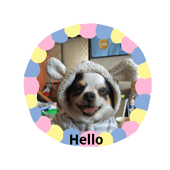 小花日常生活日記