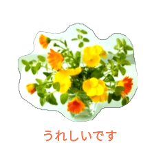 cute flower arrangement 1