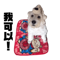 Japan have a dog, her name is Kulo. - Stiker LINE | LINE STORE