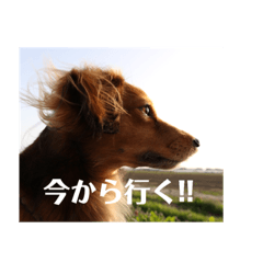 SAYU__