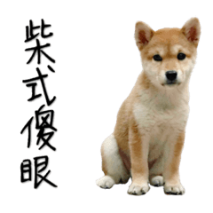 Kelly小柴妹