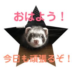 Miyuki_20181129222105