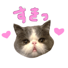 Maro stickers