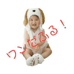 dandan 2018
