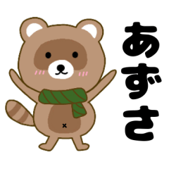 Raccoon2 Azusa