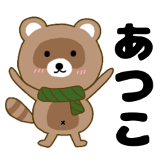 Raccoon2 Atuko
