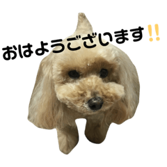 Hannah_20181130224934