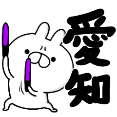 tanuchan aichi rabbit